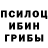 Псилоцибиновые грибы ЛСД Conor lost