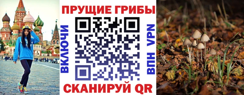 купить наркотик Снежногорск Псилоцибиновые грибы мицелий